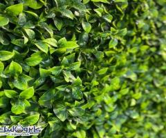 جرين وال Green wall