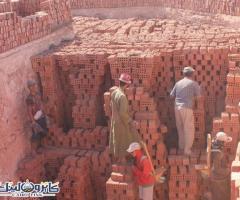 عزيزي العميل، في شركة النور نفخر بتقديم مجموعة من الطوب الأحمر الطفلي بجودة عالية