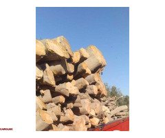 حطب الزيتون للتدفئـة والمشـاوي - 1