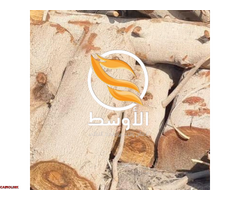 حطـب جزوريـن مشاوي - 1