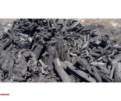 فحم الليـمون الطبيعي للتصدير - 2