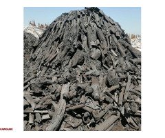 فحم الليـمون الطبيعي للتصدير - 4