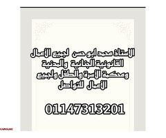 الافوكاتو محمد ابو حسن - 1