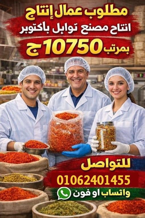 مطلوب شباب للعمل في مصنع توابل بصل في ٦ اكتوبر